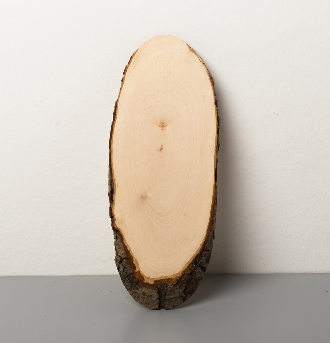 Corteccia